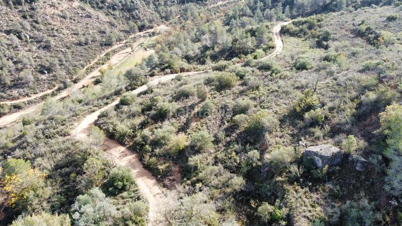 Foto cbd5d6b9-8d8c-47fb-8667-33fc94876aff. Finca rústica a Cervià de les Garrigues