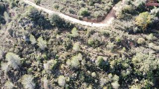 Finca rústica a Cervià de les Garrigues. Terreno en venta en tapiades