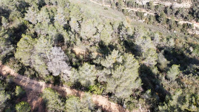 Foto da1ffdd1-6396-480e-bc80-ce4c58cfea62. Finca rústica a Cervià de les Garrigues