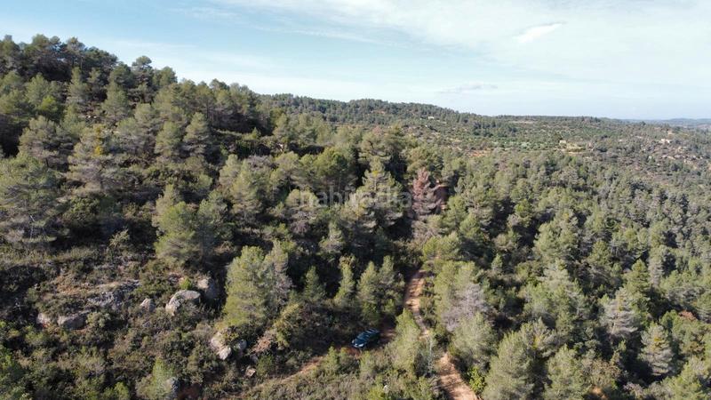 Foto db6c9955-f98f-47d2-9bfa-ac0667015a7e. Finca rústica a Cervià de les Garrigues
