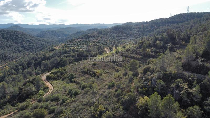 Foto dbc047a0-6b1b-49ea-bc74-4d74c3d789d0. Finca rústica a Cervià de les Garrigues