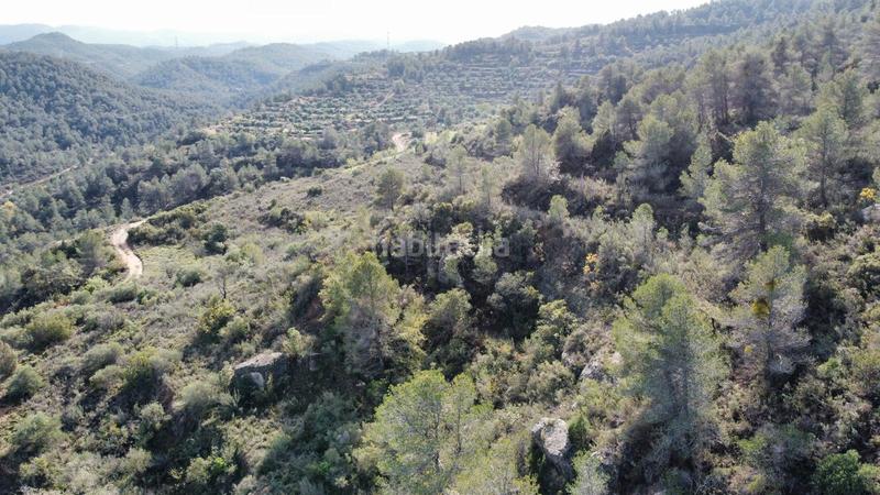 Foto e9e29471-0cf2-461f-8cfc-3306aa706316. Finca rústica a Cervià de les Garrigues