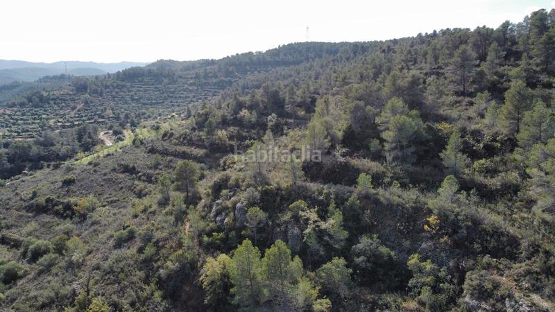 Foto f476c485-242c-4e96-9ce4-99b8b74840f6. Finca rústica a Cervià de les Garrigues