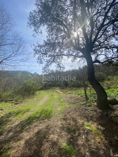 Foto 6b02d914-6d5b-48c5-a910-adfe7fa34472. Finca rústica en Tiurana