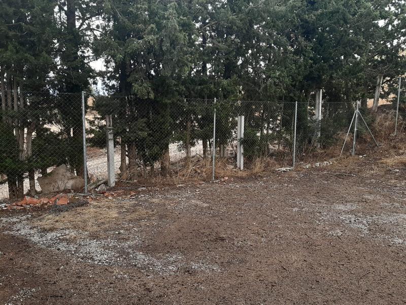 Foto 50a5ce60-d5a3-4e0f-bcfe-d7bfbd5ea5d5. Finca rústica a Arbeca