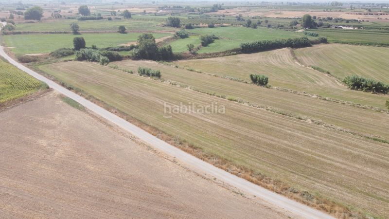 Foto 7c89b5c6-7906-4384-aa8d-2db9de77e8c4. Finca rústica a carrer cristòfol colom 5 a Bellvís