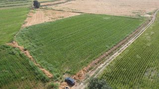 Rural plot  N/a. Terreno en venta en la sentiu de sió