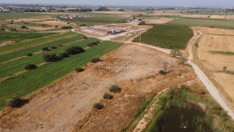 Foto 3a7abbe8-1371-4cc8-8862-955ee563ac0c. Finca rústica a n/a a Bellvís