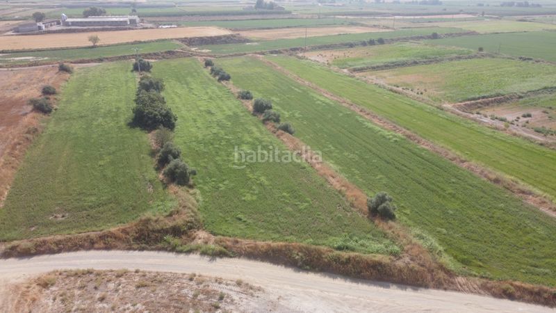 Foto f02b1700-2bbd-4b37-8569-1028ae7f4790. Finca rústica a n/a a Bellvís