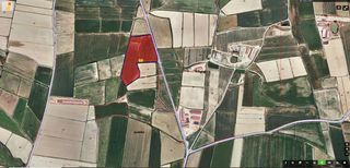 Finca rústica  N/a. Terreno en venta en partida la serra ( la pedrera) s/n, bellvis