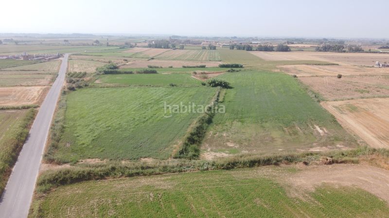 Foto cc928dff-972c-4cf6-beca-2e75e14a709d. Finca rústica a n/a a Bellvís