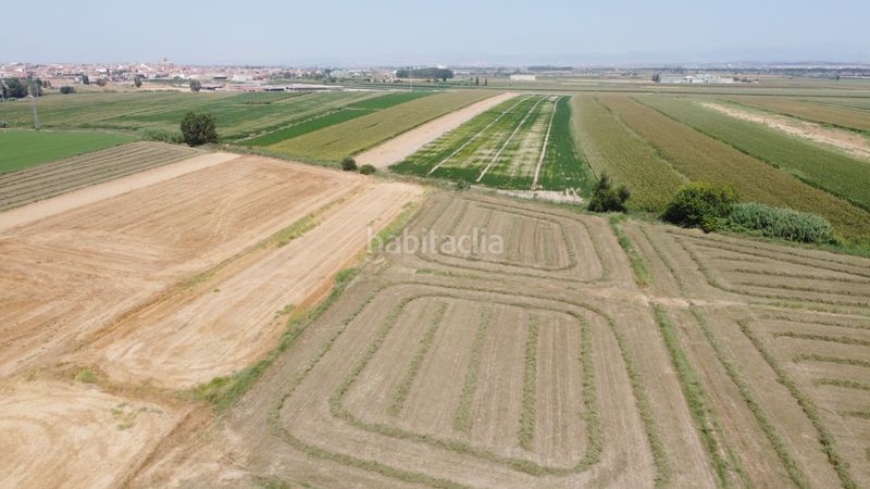 Foto 063de488-3032-44c8-81aa-6fcb6bb34e97. Finca rústica a n/a a Linyola