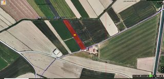 Finca rústica  N/a. Terreno en venta en les cendroelles s/n, linyola