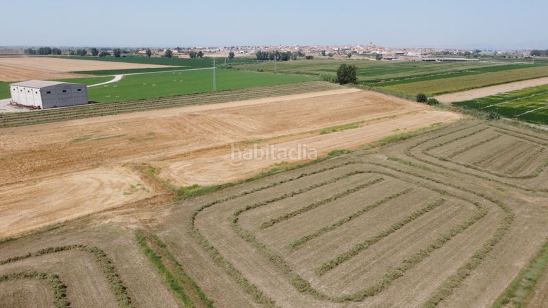 Foto b5fa730d-d079-43b1-b955-80e4d832d7ea. Finca rústica a n/a a Linyola