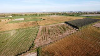 Rural plot in Avinguda balaguer 1981