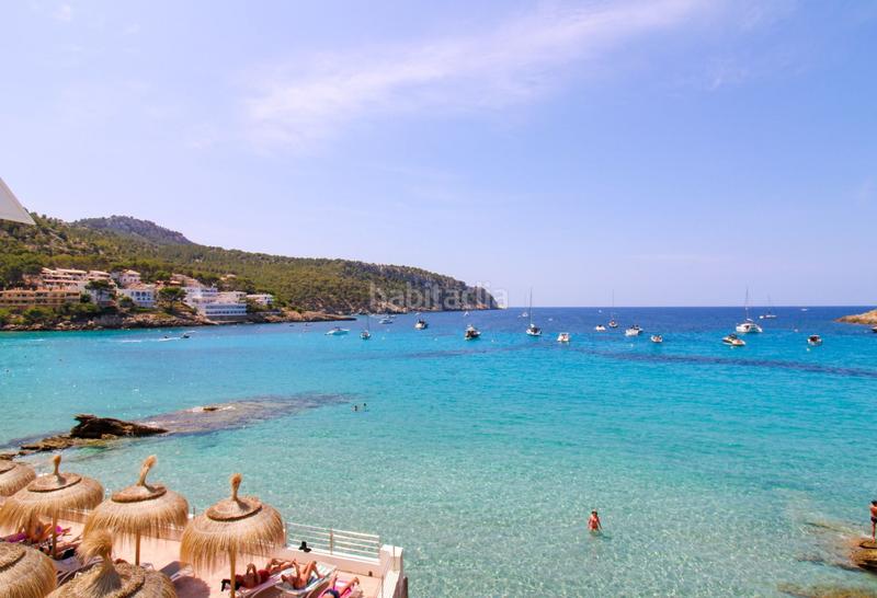 Foto 883ed6d0-f3b7-4c2e-9ea8-3063a7245d49. Attique dans Sant Elm Andratx