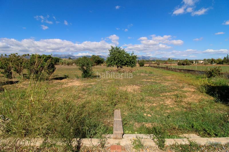 Foto 617eb944-42eb-4366-8662-b0f95e13234b. Fondo rustico in Santa Eugènia