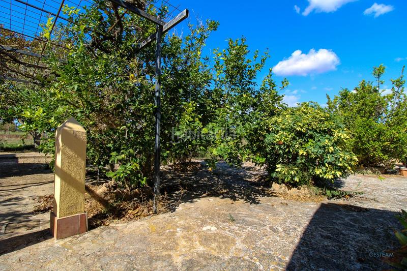 Foto 911b7d86-cd49-4cd5-9286-4b00c286ae76. Fondo rustico in Santa Eugènia