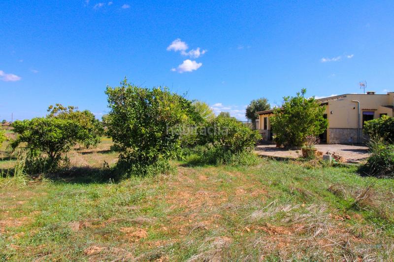 Foto 97b962bd-9fdb-4738-a778-c0a1b24a144a. Fondo rustico in Santa Eugènia