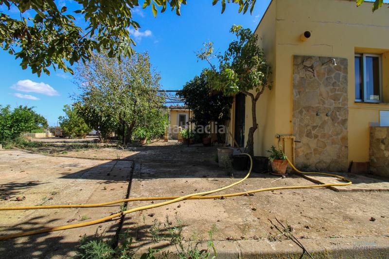 Foto b67e5f1a-1ed5-4e91-8dc2-5baba0628c23. Fondo rustico in Santa Eugènia