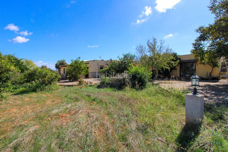 Foto cf5542e5-283f-4d65-ae01-198c137c206e. Fondo rustico in Santa Eugènia