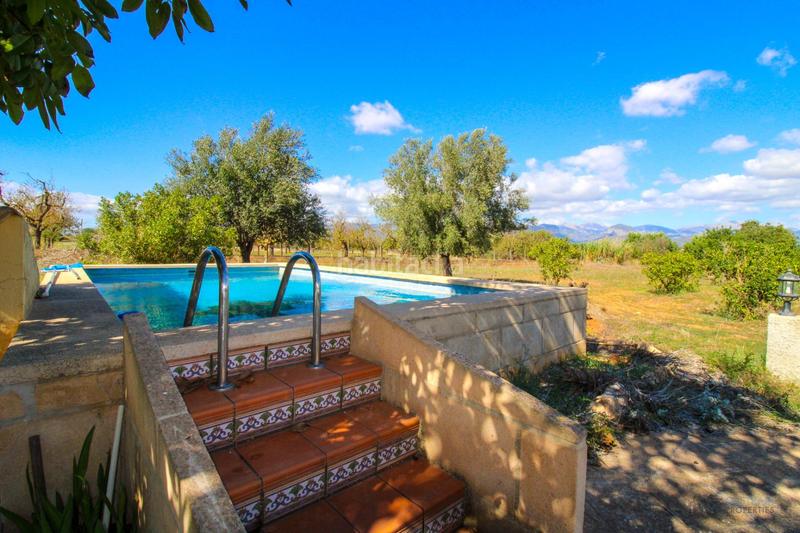 Foto e2e638cf-1252-4a79-8e1a-3668111b4385. Fondo rustico in Santa Eugènia