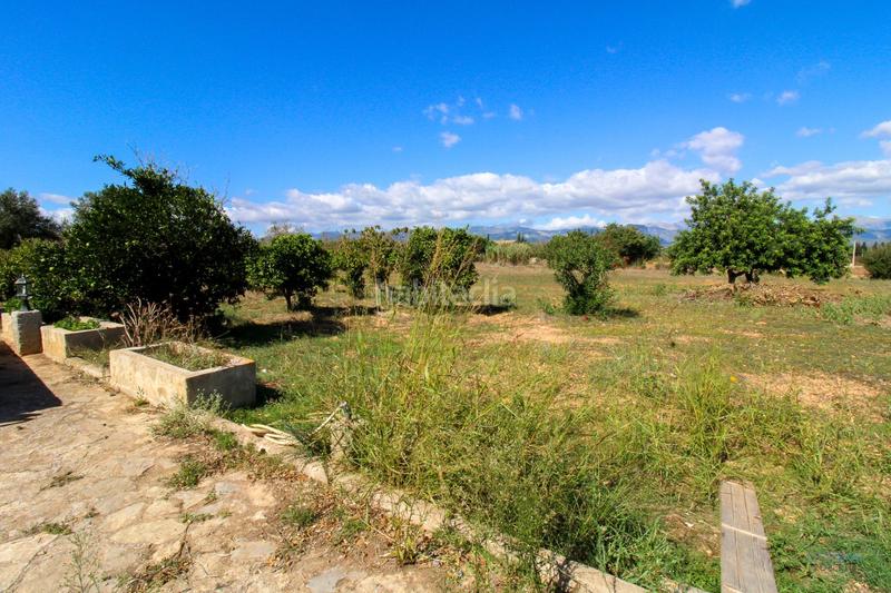 Foto ef99a7d4-04a7-488d-a496-767506b263c0. Fondo rustico in Santa Eugènia