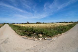 Terrain résidentiel à Cami de son moix. Parcela urbana en cami de son moix, manacor