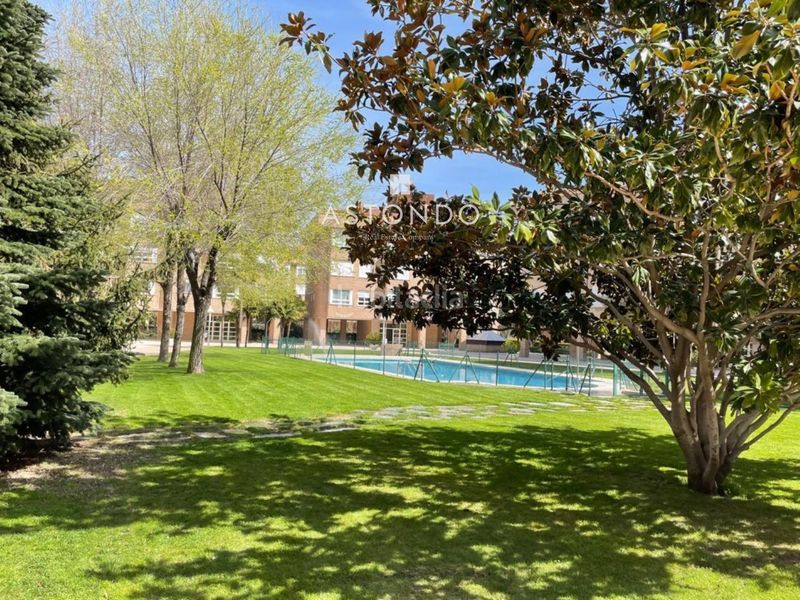 Foto 149818af-d9b0-40d9-8c20-398991fac4ab. Rent flat with heating parking pool in Pinar del Rey Madrid