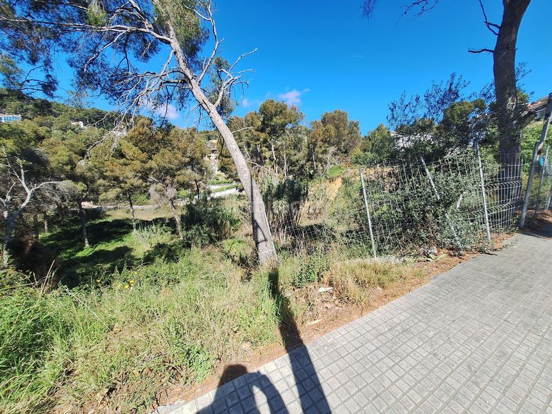 Foto f33d0715-2ed9-488a-877c-886ff7b342f5. Terreno residenziale in conca barbera 56 in La Mora Tarragona