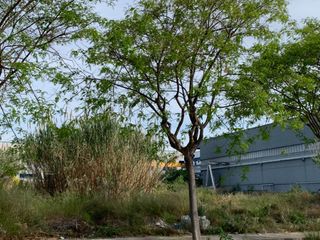 Solar industrial en Vilassar de Dalt. Solar industrial en venta