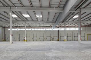 Rent Industrial building in Bisbal del Penedès (La). Plataforma con 24 muelles
