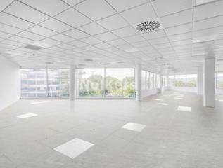 Büro in Avinguda Alcalde Barnils