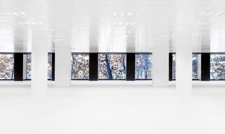 Lloguer Oficina  Carrer de joan güell. Oficina en alquiler diagonal