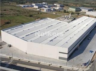 Lloguer Nau industrial a Pla de Santa Maria (El). Plataforma logística con 44 muelles de carga