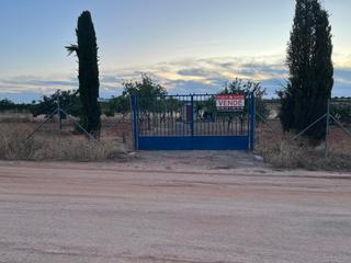 Finca rústica a Madridejos. Venta terreno sito en camino de las sierras madridejos toledo