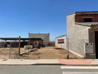 Terreny residencial  Camino toledo. Venta parcela camino toledo 45710 madridejos (toledo)