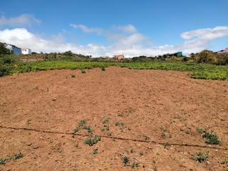 Finca rústica  Del medio