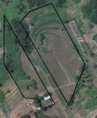 Finca rústica a Sauzal (El). Se vende terreno en explotación y vivienda