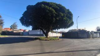 Finca rústica a Polígono 21 parcela 628 las cabezadas. el rosario 21. Terreno en la esperanza