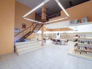 Local Comercial  Calle doctor alberto de armas. Local comercial en cruz del se�or