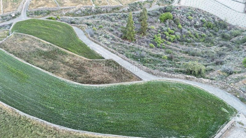 Foto ea46a6c3-c8a8-4756-9313-aa89f0000804. Finca rústica a Vilaflor