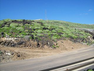 Rural plot in El Escobonal - Pájara. Suelo rustico en guimar