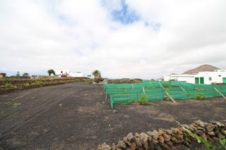 Terreny residencial a Tinajo