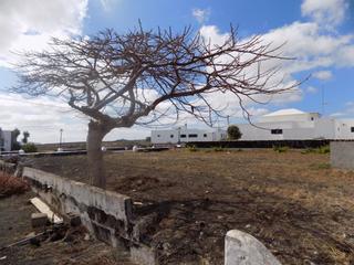 Terreny residencial a Muñique. Muñique . terreno urbano de 1683 mts con posibilidad de segregar