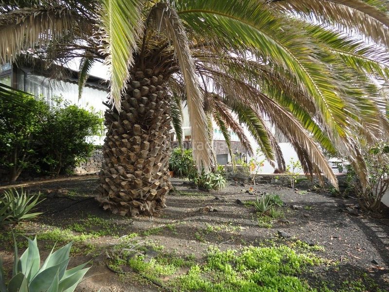 Foto e3030836-e306-4160-9076-7e3107ed2cde. Xalet amb aparcament a Nazaret Teguise