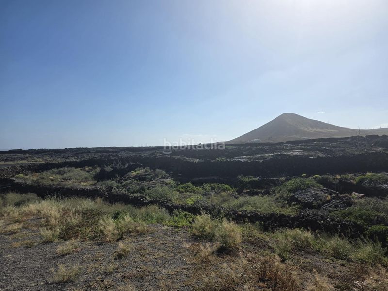Foto 8a7d25bb-0347-40e0-ab73-78cc01405820. Terreny residencial a Tahiche Teguise