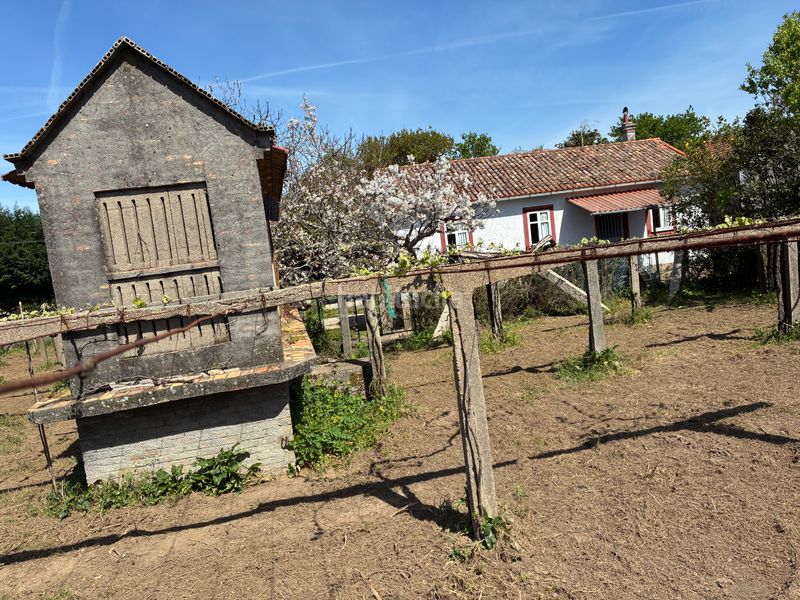 Foto 10fb31e5-2cae-4603-a72e-d97f089b748a. Casa a Ribadumia