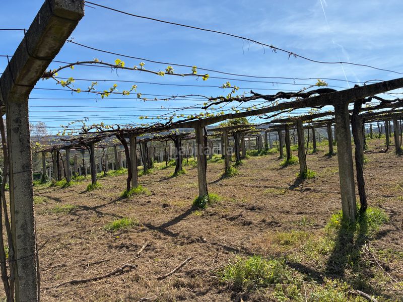 Foto 1105ff35-db03-48dd-a055-003b87dc0d32. Casa a Ribadumia