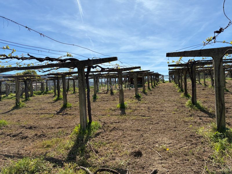 Foto 54641bfa-bc0a-4d61-8e1a-b087dfb396b5. Casa a Ribadumia